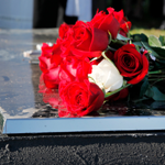 Wrongful Death and Fatality Claims Lawyer for Calgary and Alberta