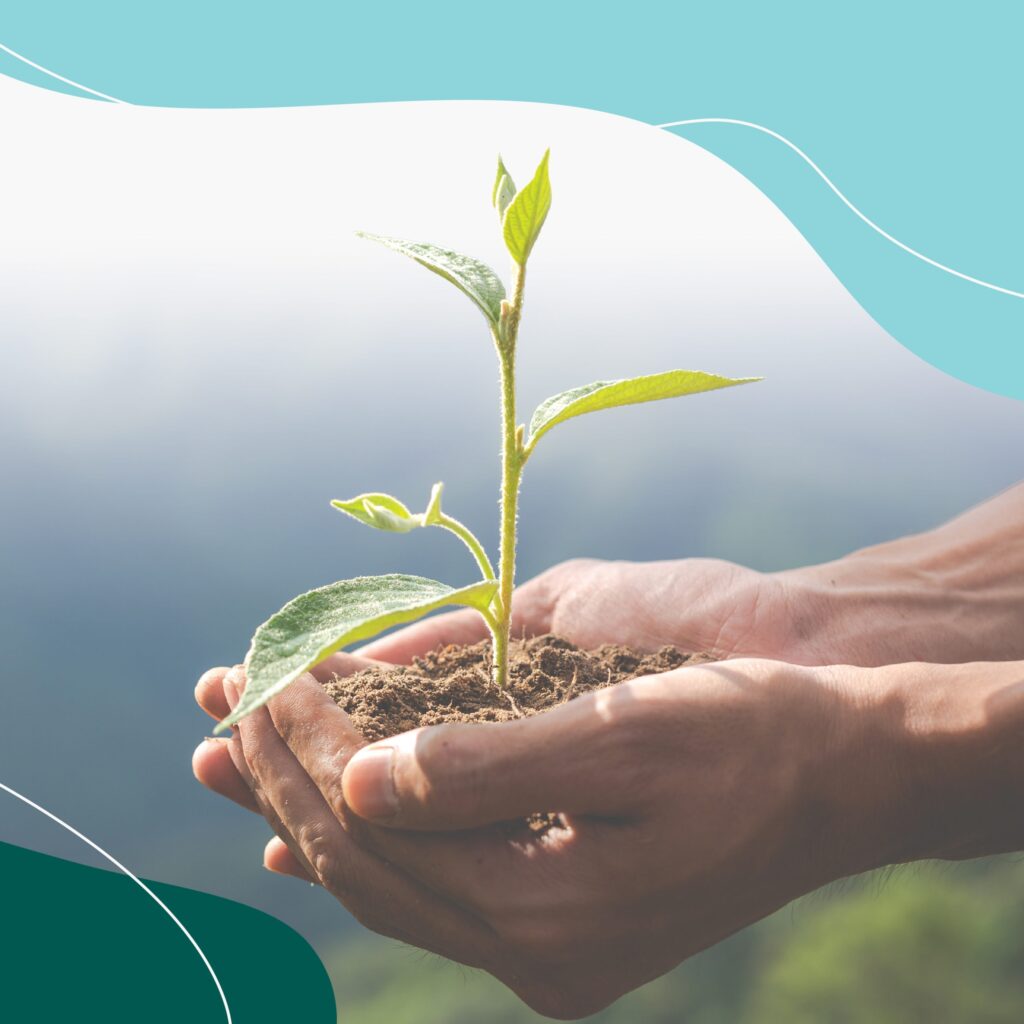 World Environment Day Giveaway